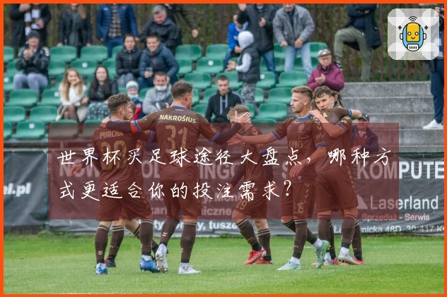 世界杯买足球途径大盘点,哪种方式更适合你的投注需求?